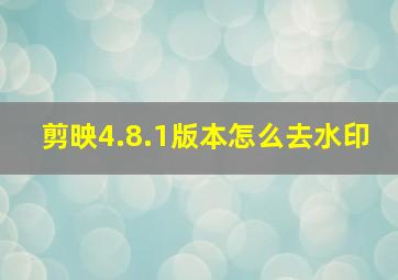 剪映4.8.1版本怎么去水印