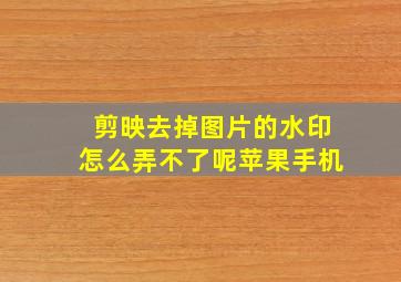 剪映去掉图片的水印怎么弄不了呢苹果手机