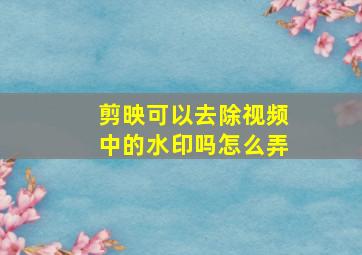 剪映可以去除视频中的水印吗怎么弄