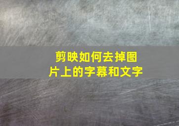 剪映如何去掉图片上的字幕和文字