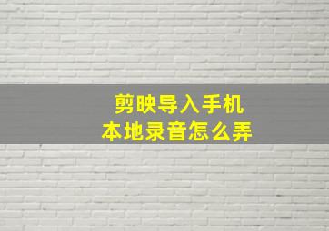 剪映导入手机本地录音怎么弄