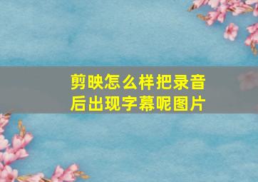 剪映怎么样把录音后出现字幕呢图片