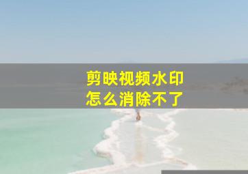 剪映视频水印怎么消除不了