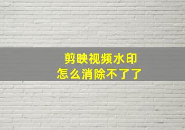 剪映视频水印怎么消除不了了