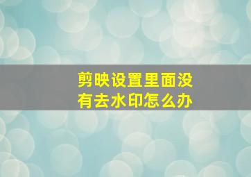 剪映设置里面没有去水印怎么办