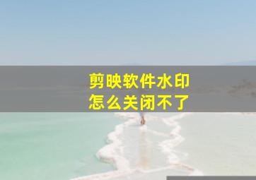 剪映软件水印怎么关闭不了