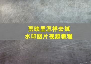 剪映里怎样去掉水印图片视频教程