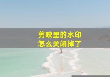 剪映里的水印怎么关闭掉了