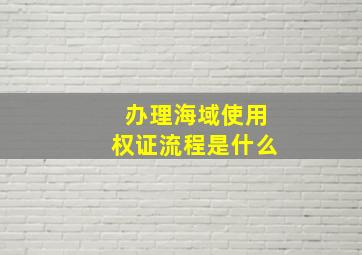 办理海域使用权证流程是什么