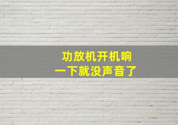 功放机开机响一下就没声音了