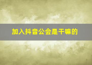 加入抖音公会是干嘛的