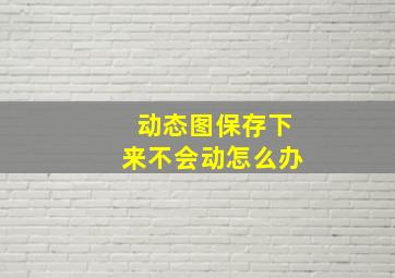 动态图保存下来不会动怎么办