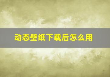 动态壁纸下载后怎么用