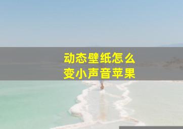 动态壁纸怎么变小声音苹果