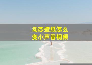 动态壁纸怎么变小声音视频