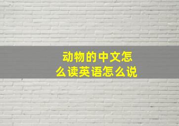 动物的中文怎么读英语怎么说