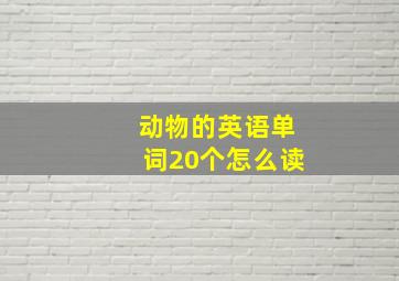 动物的英语单词20个怎么读