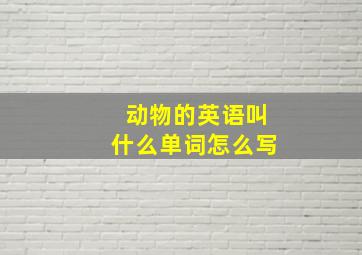 动物的英语叫什么单词怎么写