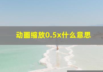 动画缩放0.5x什么意思