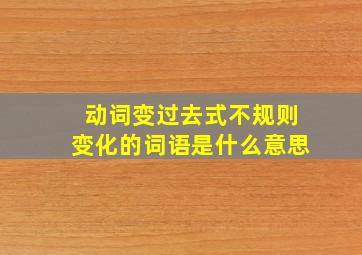 动词变过去式不规则变化的词语是什么意思