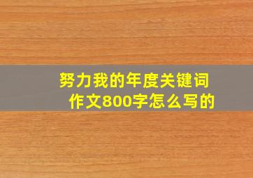 努力我的年度关键词作文800字怎么写的