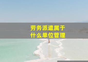 劳务派遣属于什么单位管理