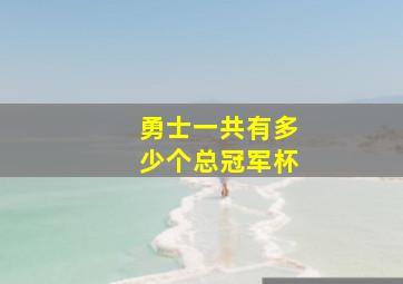 勇士一共有多少个总冠军杯