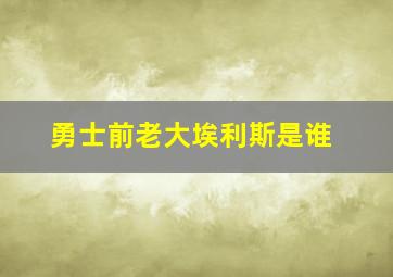 勇士前老大埃利斯是谁