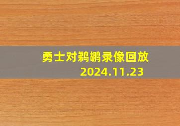 勇士对鹈鹕录像回放2024.11.23