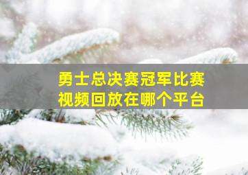 勇士总决赛冠军比赛视频回放在哪个平台