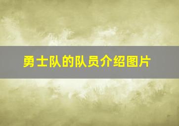 勇士队的队员介绍图片