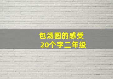 包汤圆的感受20个字二年级