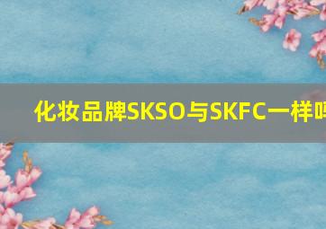 化妆品牌SKSO与SKFC一样吗