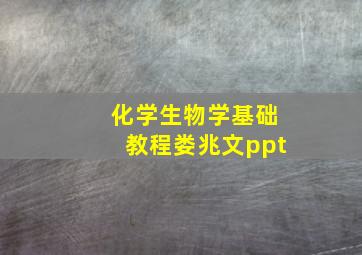 化学生物学基础教程娄兆文ppt