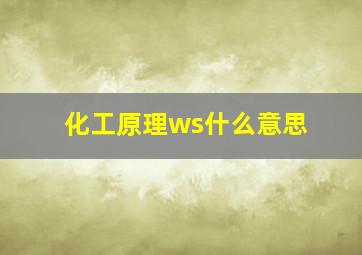 化工原理ws什么意思