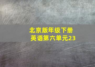 北京版年级下册英语第六单元23