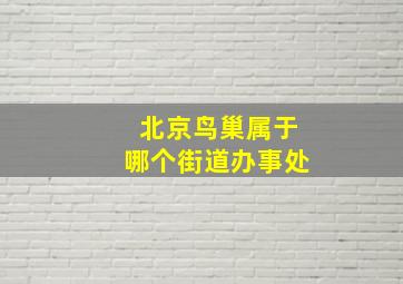 北京鸟巢属于哪个街道办事处