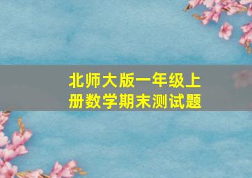 北师大版一年级上册数学期末测试题