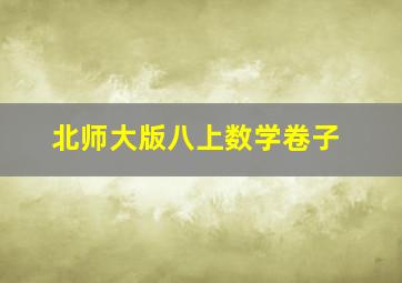 北师大版八上数学卷子