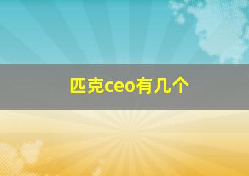 匹克ceo有几个