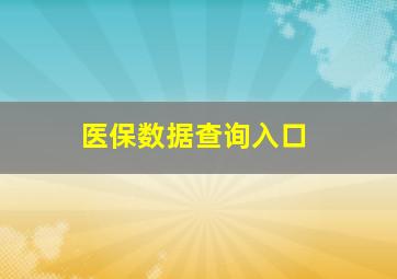 医保数据查询入口