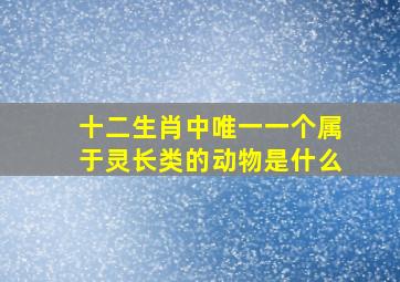 十二生肖中唯一一个属于灵长类的动物是什么