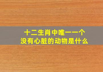 十二生肖中唯一一个没有心脏的动物是什么