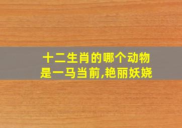 十二生肖的哪个动物是一马当前,艳丽妖娆