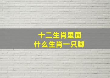 十二生肖里面什么生肖一只脚