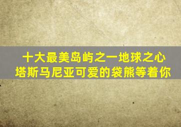 十大最美岛屿之一地球之心塔斯马尼亚可爱的袋熊等着你