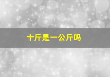 十斤是一公斤吗