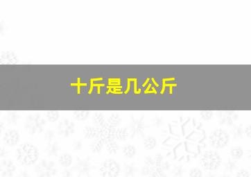 十斤是几公斤