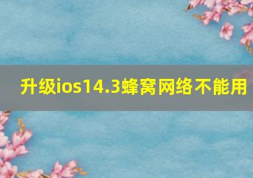 升级ios14.3蜂窝网络不能用