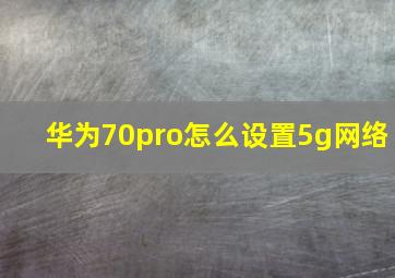 华为70pro怎么设置5g网络